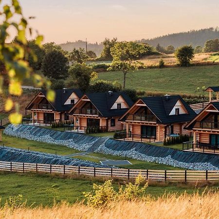 Osada Miod Malina Villa Istebna Buitenkant foto